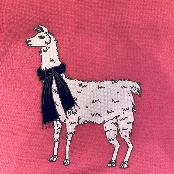OLD NAVY Llama Thermal Knit Top in Bright Pink & Llama Screen Print Size Large - Picture 4 of 6